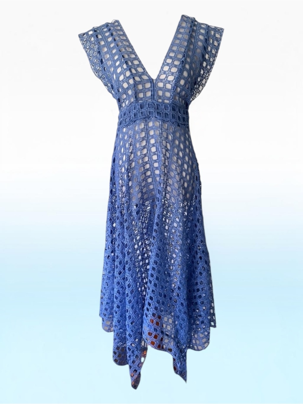 NWT THURLEY Londonlaced Cornflower Dress Size 10